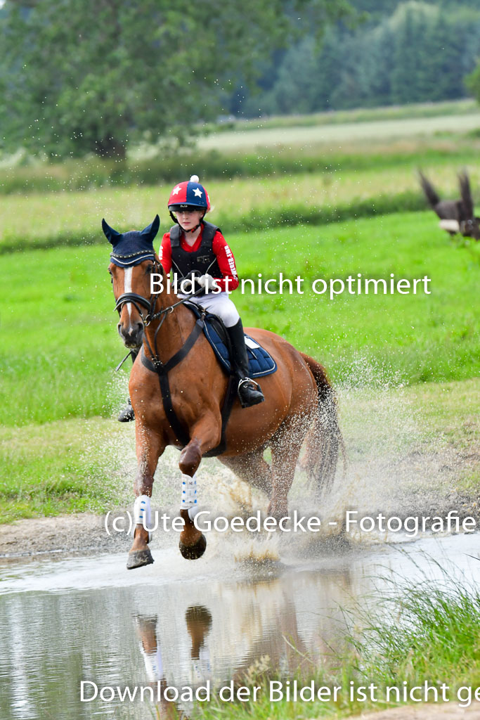 Goldene Schärpe PFerde  in Löningen  11+12.6.22 | 11062022 - Gelände 868 Abt 