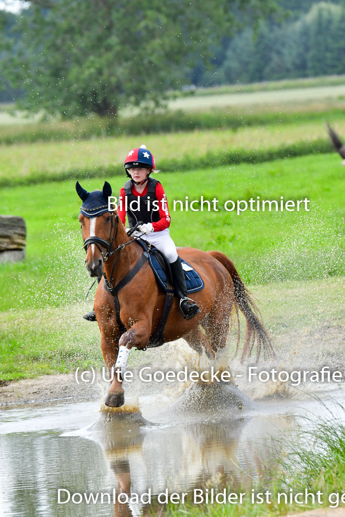 Goldene Schärpe PFerde  in Löningen  11+12.6.22 | 11062022 - Gelände 869 Abt