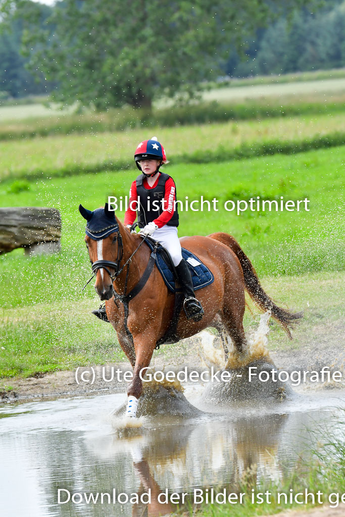 Goldene Schärpe PFerde  in Löningen  11+12.6.22 | 11062022 - Gelände 870 Abt 