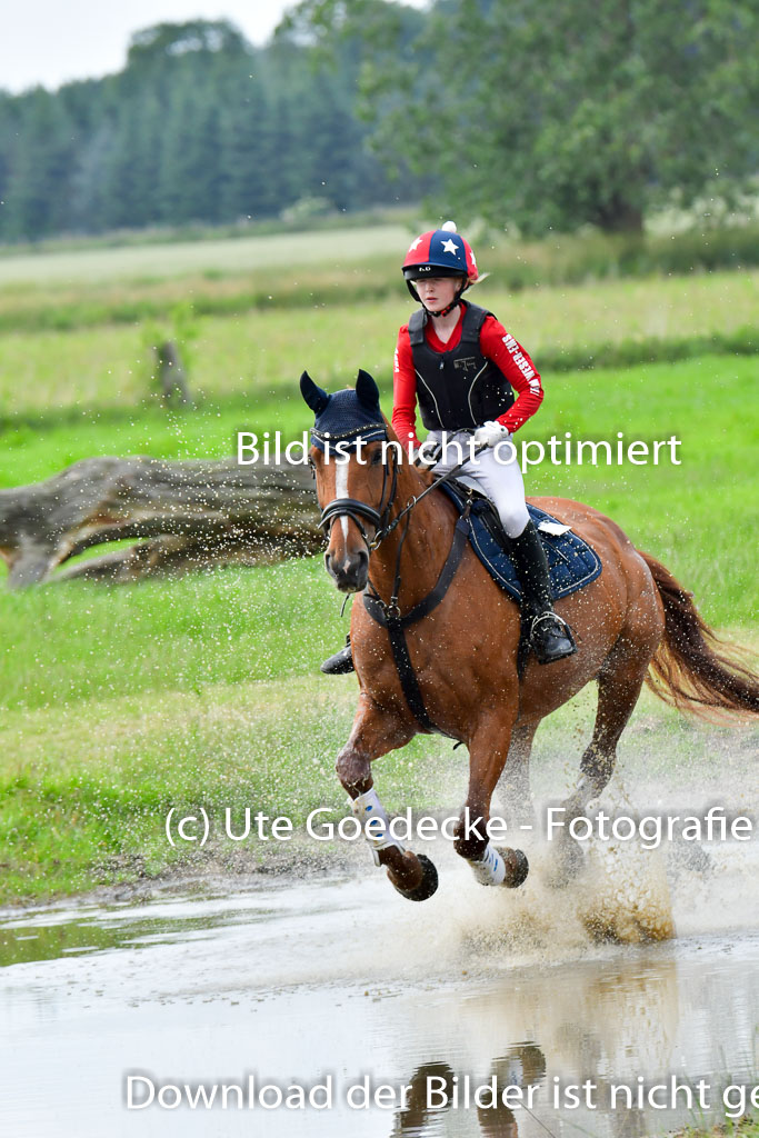 Goldene Schärpe PFerde  in Löningen  11+12.6.22 | 11062022 - Gelände 871 Abt 