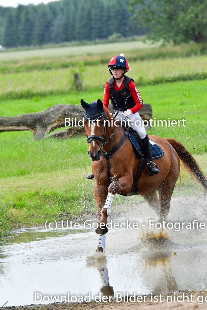 Goldene Schärpe PFerde  in Löningen  11+12.6.22 | 11062022 - Gelände 872 Abt 