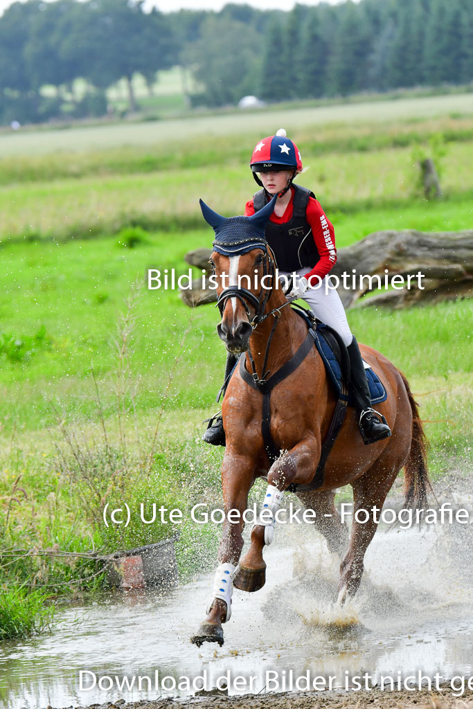 Goldene Schärpe PFerde  in Löningen  11+12.6.22 | 11062022 - Gelände 873 Abt