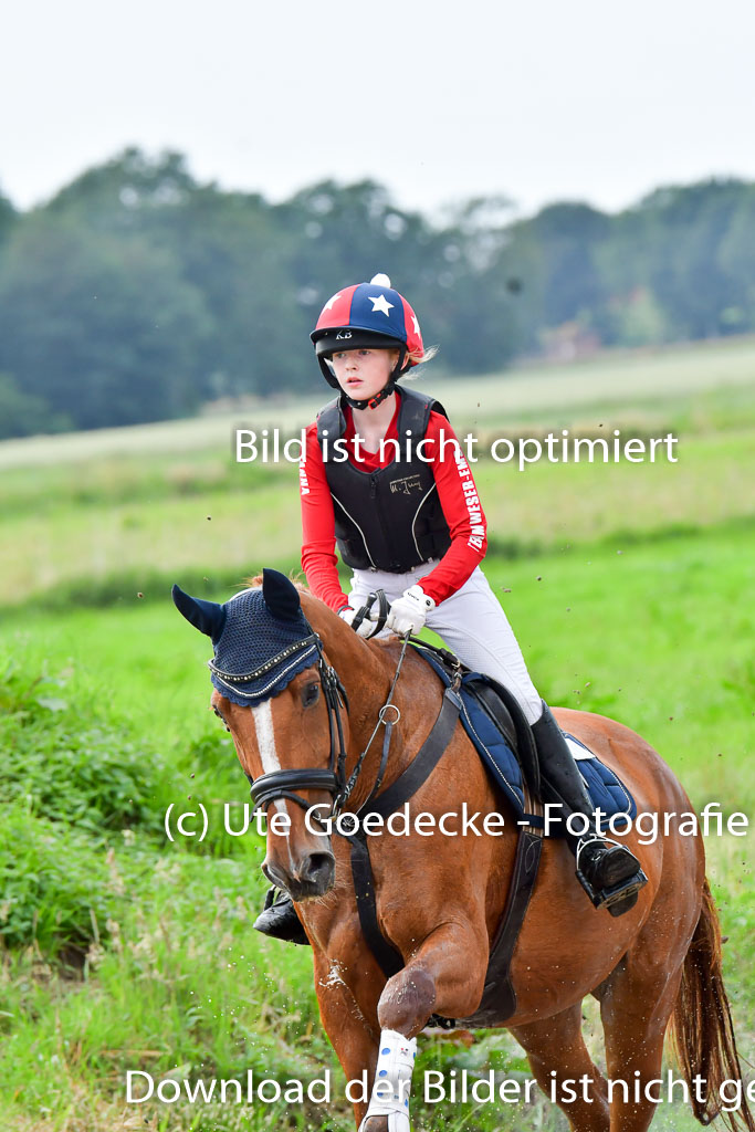 Goldene Schärpe PFerde  in Löningen  11+12.6.22 | 11062022 - Gelände 875 Abt