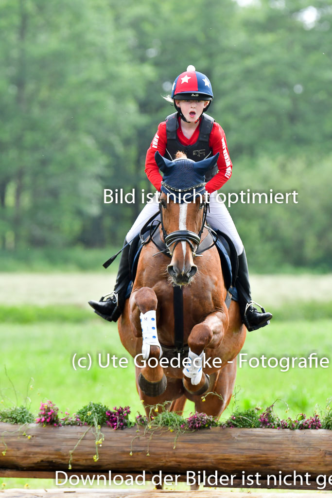 Goldene Schärpe PFerde  in Löningen  11+12.6.22 | 11062022 - Gelände 876 Abt