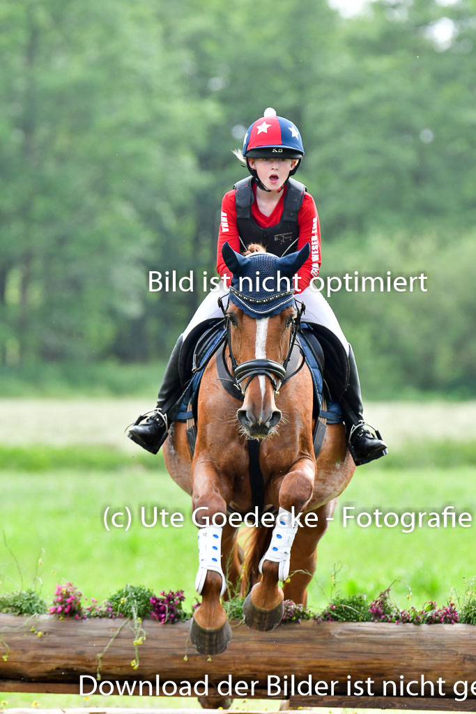Goldene Schärpe PFerde  in Löningen  11+12.6.22 | 11062022 - Gelände 877 Abt 