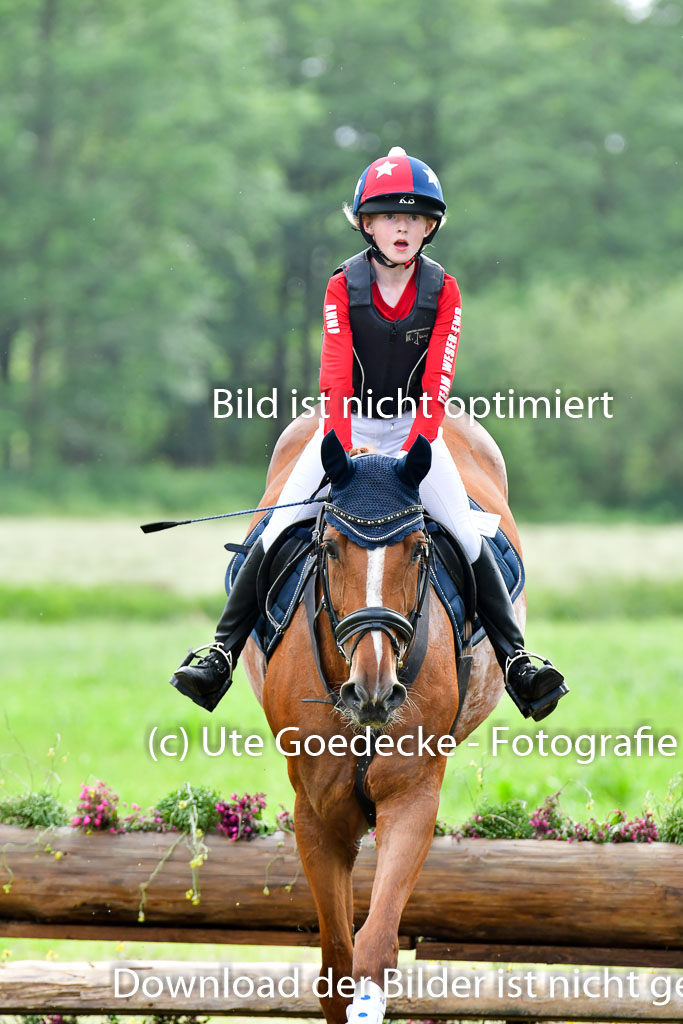 Goldene Schärpe PFerde  in Löningen  11+12.6.22 | 11062022 - Gelände 878 Abt
