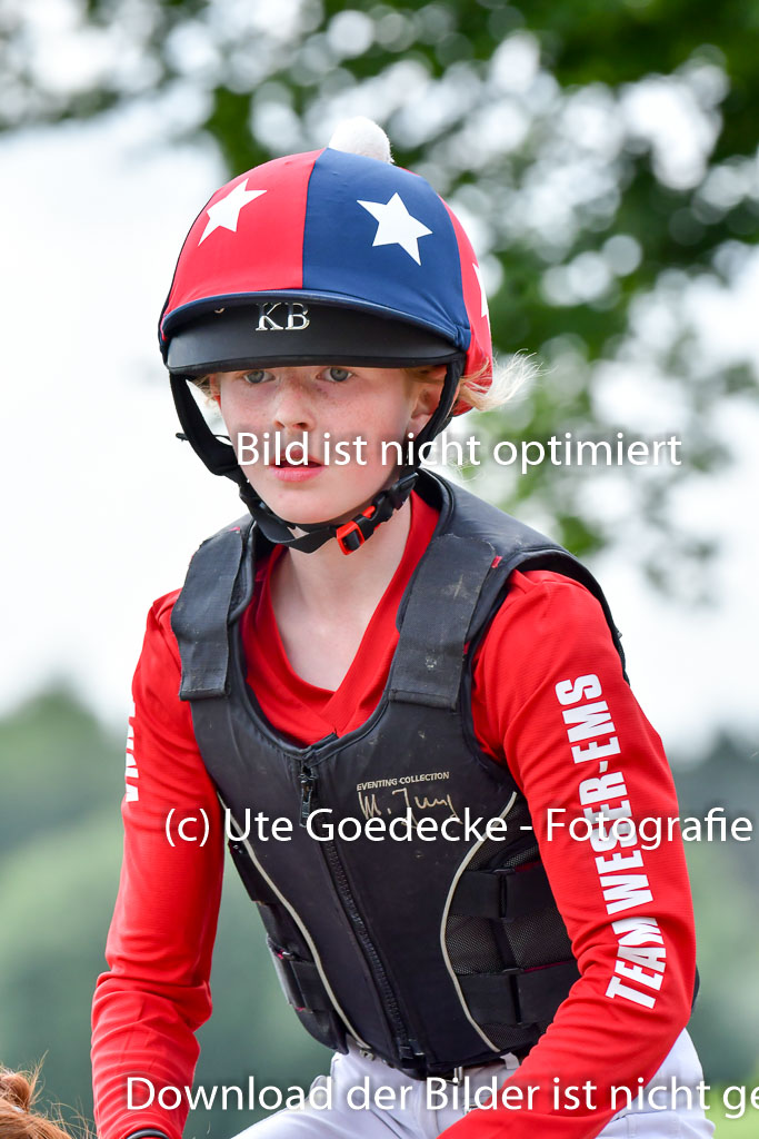 Goldene Schärpe PFerde  in Löningen  11+12.6.22 | 11062022 - Gelände 882 Abt 
