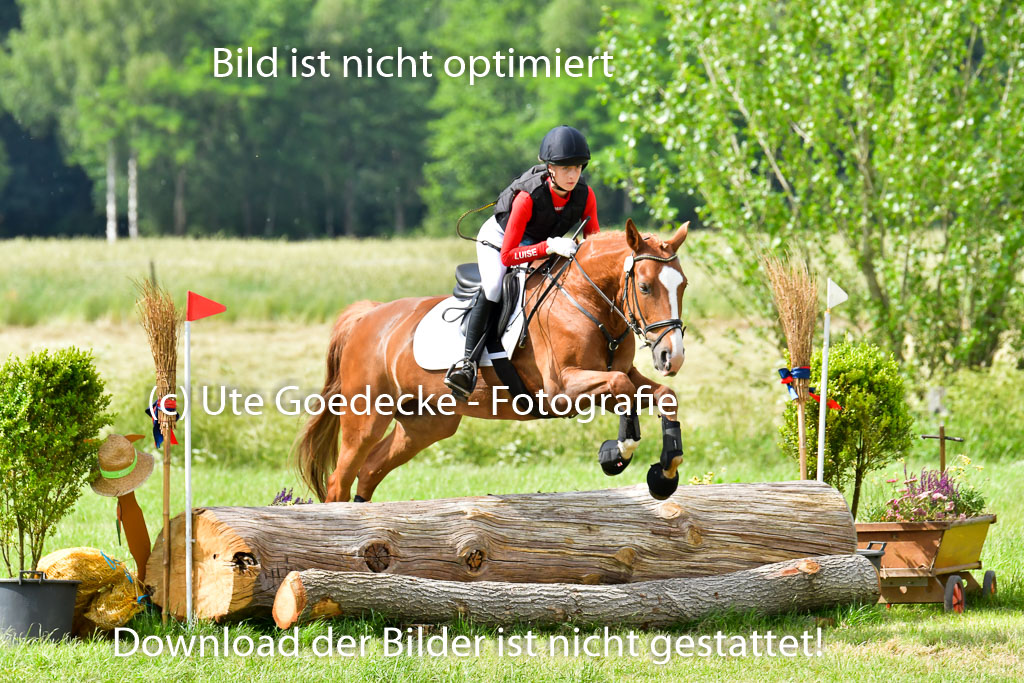 Goldene Schärpe PFerde  in Löningen  11+12.6.22 | 11062022 - Gelände 888 Abt