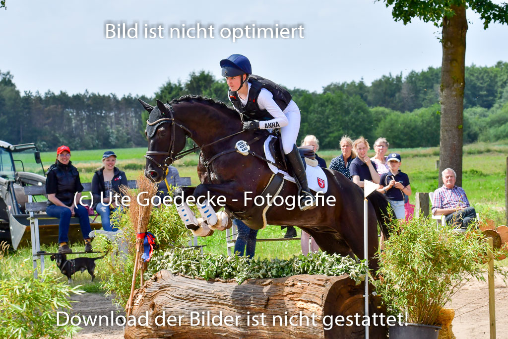 Goldene Schärpe PFerde  in Löningen  11+12.6.22 | 11062022 - Gelände 89 Abt 