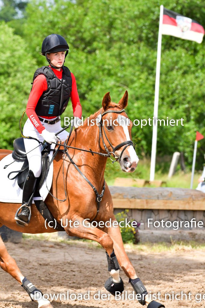 Goldene Schärpe PFerde  in Löningen  11+12.6.22 | 11062022 - Gelände 890 Abt
