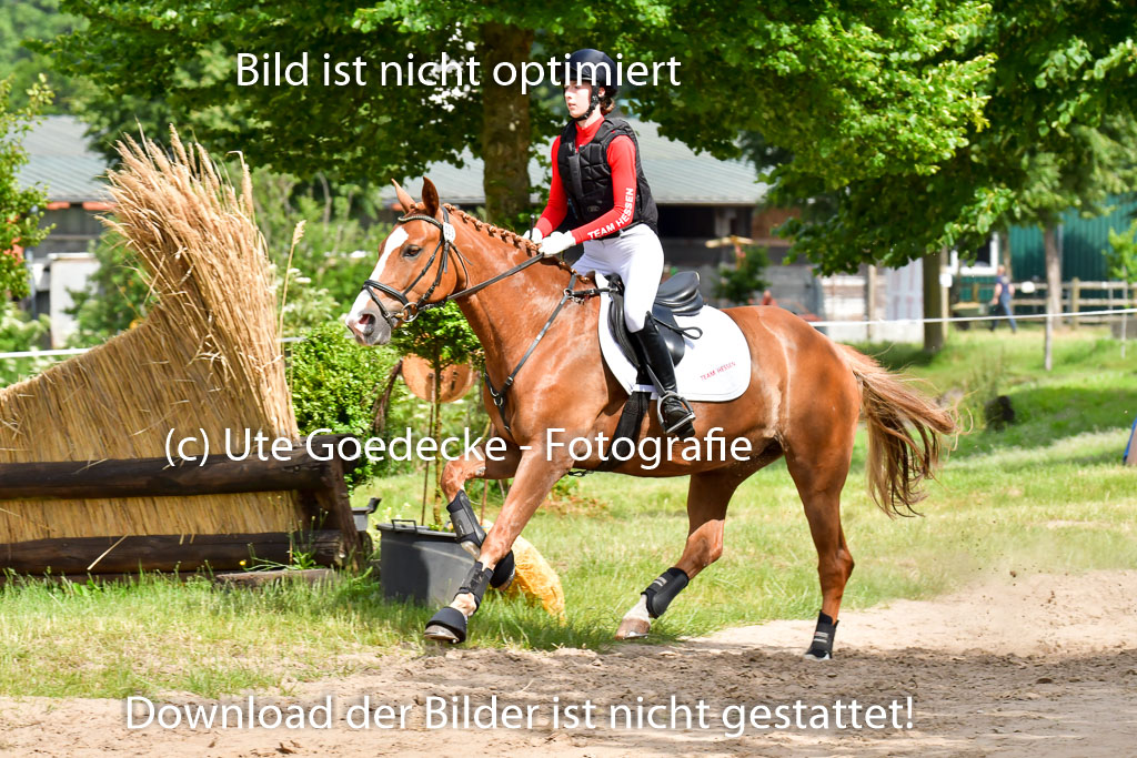 Goldene Schärpe PFerde  in Löningen  11+12.6.22 | 11062022 - Gelände 892 Abt