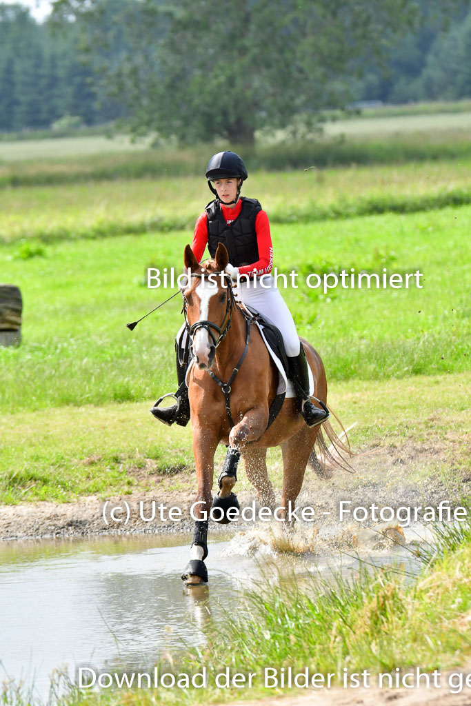 Goldene Schärpe PFerde  in Löningen  11+12.6.22 | 11062022 - Gelände 895 Abt 