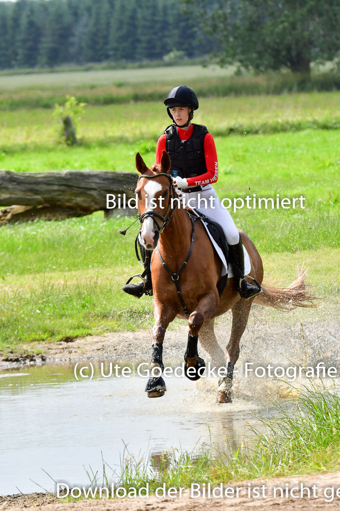 Goldene Schärpe PFerde  in Löningen  11+12.6.22 | 11062022 - Gelände 896 Abt