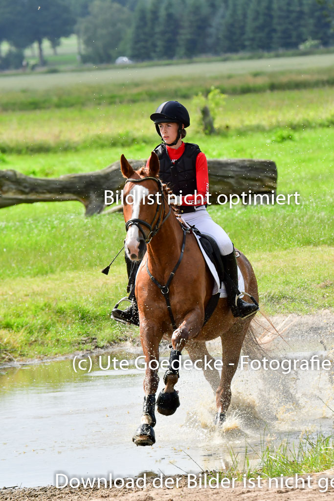 Goldene Schärpe PFerde  in Löningen  11+12.6.22 | 11062022 - Gelände 899 Abt