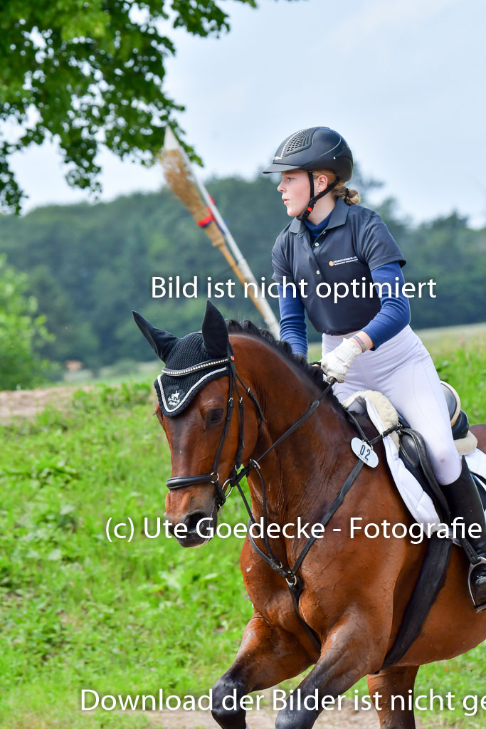 Goldene Schärpe PFerde  in Löningen  11+12.6.22 | 11062022 - Gelände 9 Abt
