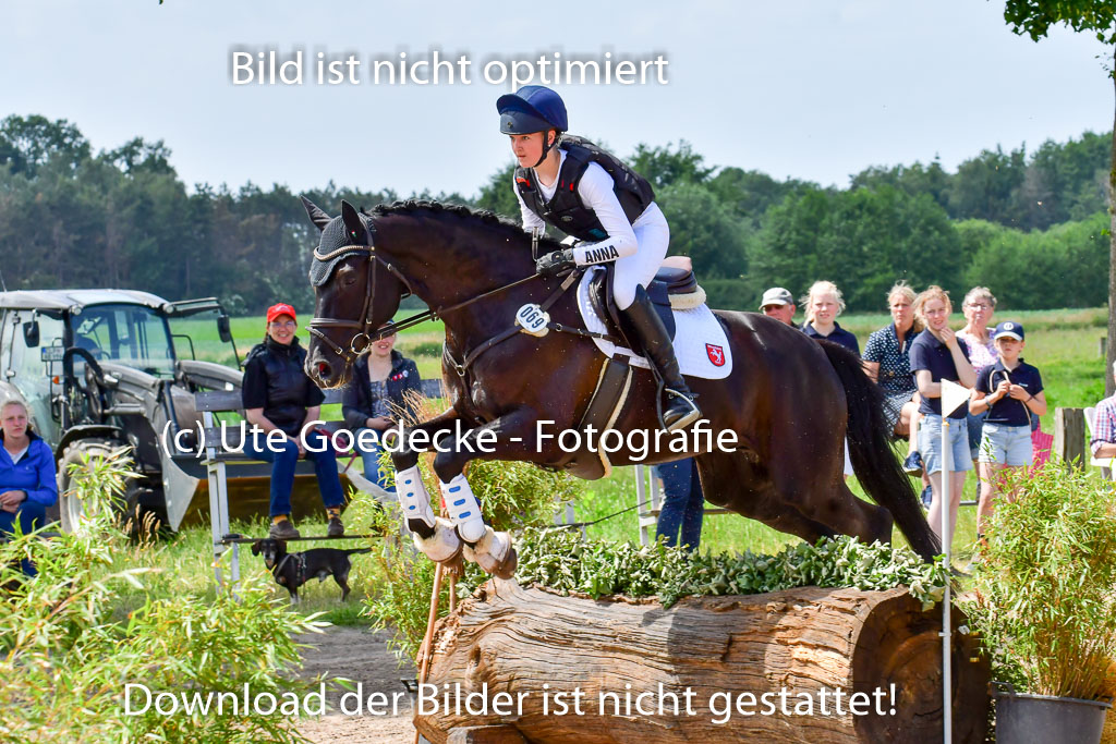 Goldene Schärpe PFerde  in Löningen  11+12.6.22 | 11062022 - Gelände 90 Abt 