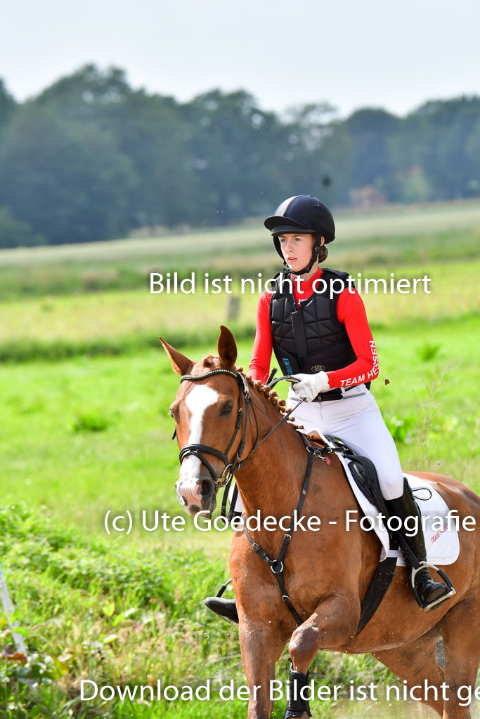Goldene Schärpe PFerde  in Löningen  11+12.6.22 | 11062022 - Gelände 901 Abt 