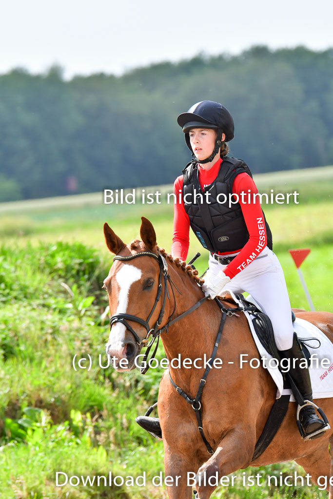 Goldene Schärpe PFerde  in Löningen  11+12.6.22 | 11062022 - Gelände 902 Abt 