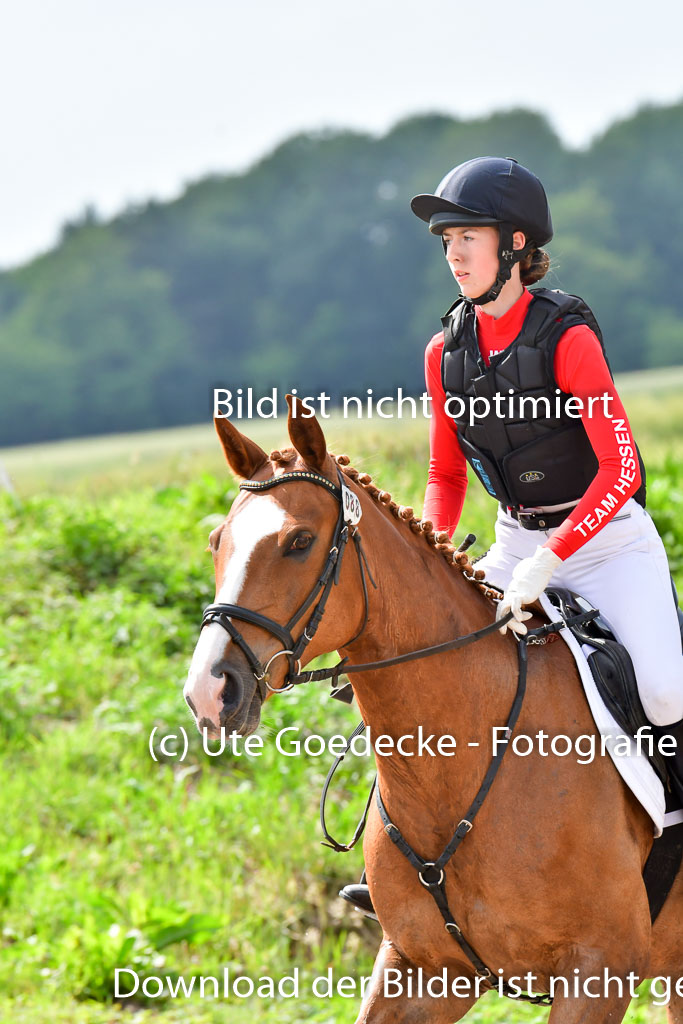 Goldene Schärpe PFerde  in Löningen  11+12.6.22 | 11062022 - Gelände 903 Abt 