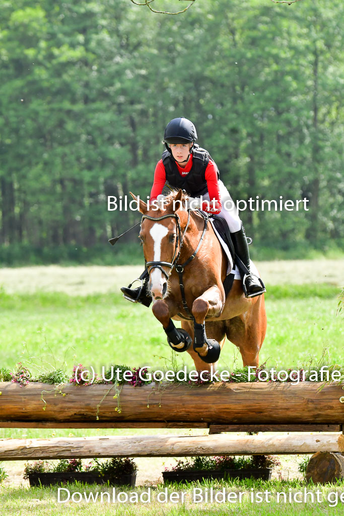 Goldene Schärpe PFerde  in Löningen  11+12.6.22 | 11062022 - Gelände 904 Abt