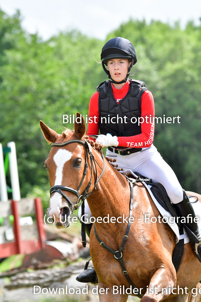 Goldene Schärpe PFerde  in Löningen  11+12.6.22 | 11062022 - Gelände 907 Abt 