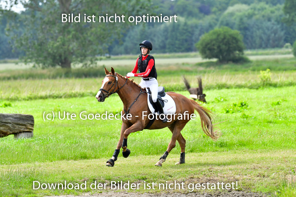 Goldene Schärpe PFerde  in Löningen  11+12.6.22 | 11062022 - Gelände 908 Abt 