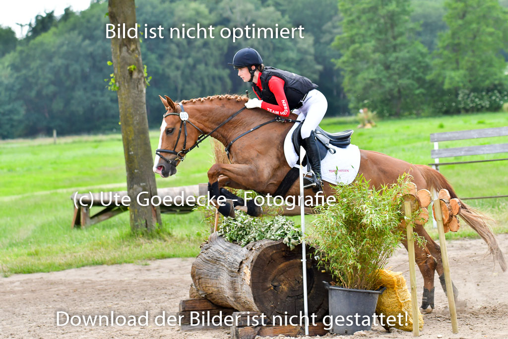 Goldene Schärpe PFerde  in Löningen  11+12.6.22 | 11062022 - Gelände 910 Abt 