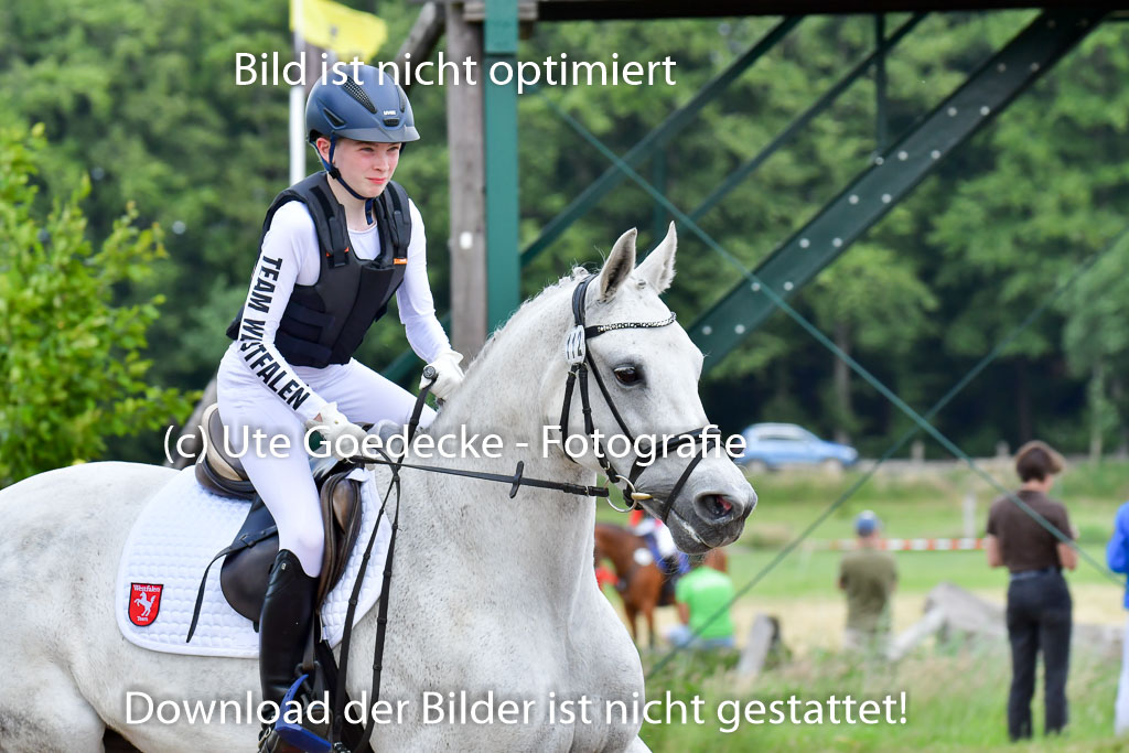 Goldene Schärpe PFerde  in Löningen  11+12.6.22 | 11062022 - Gelände 918 Abt 