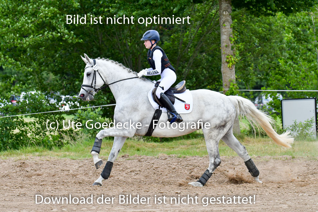 Goldene Schärpe PFerde  in Löningen  11+12.6.22 | 11062022 - Gelände 920 Abt 