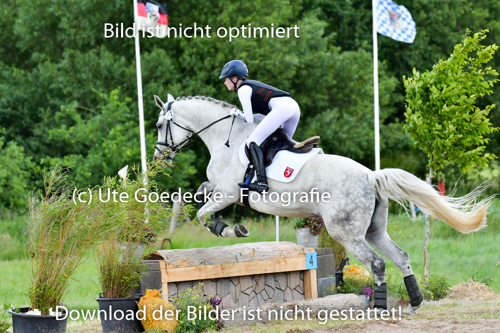 Goldene Schärpe PFerde  in Löningen  11+12.6.22 | 11062022 - Gelände 921 Abt 