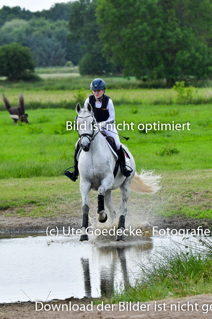 Goldene Schärpe PFerde  in Löningen  11+12.6.22 | 11062022 - Gelände 923 Abt 