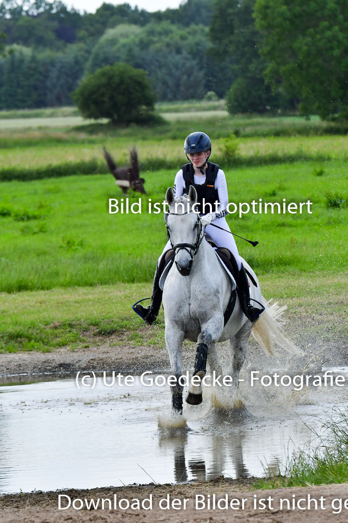 Goldene Schärpe PFerde  in Löningen  11+12.6.22 | 11062022 - Gelände 925 Abt 