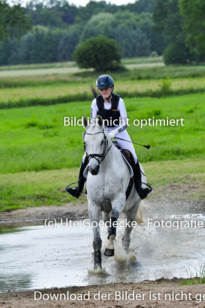 Goldene Schärpe PFerde  in Löningen  11+12.6.22 | 11062022 - Gelände 927 Abt 