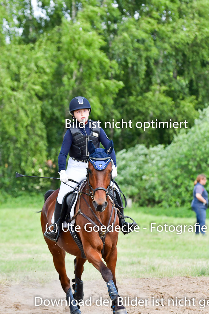 Goldene Schärpe PFerde  in Löningen  11+12.6.22 | 11062022 - Gelände 93 Abt 