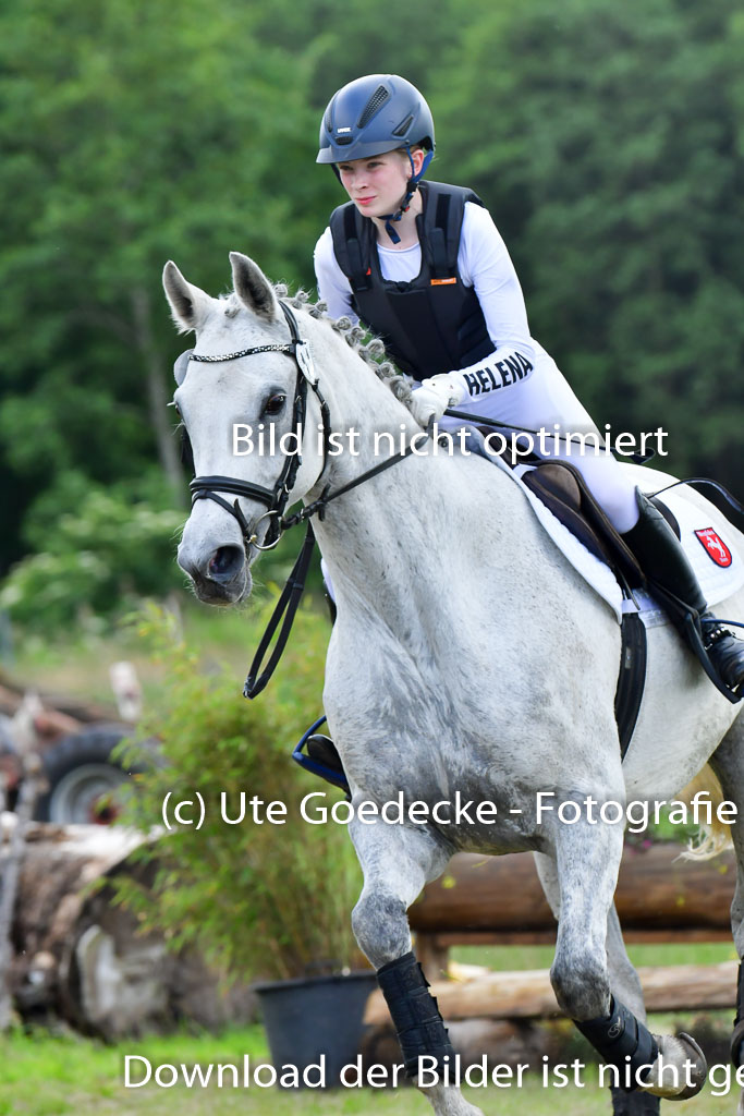 Goldene Schärpe PFerde  in Löningen  11+12.6.22 | 11062022 - Gelände 931 Abt