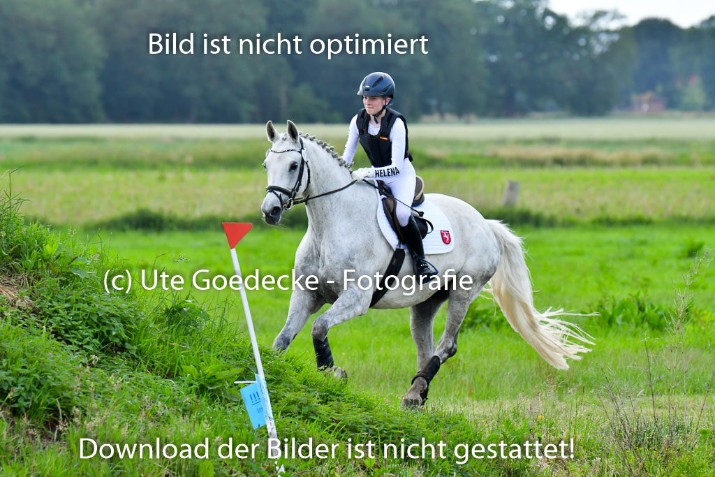 Goldene Schärpe PFerde  in Löningen  11+12.6.22 | 11062022 - Gelände 933 Abt 