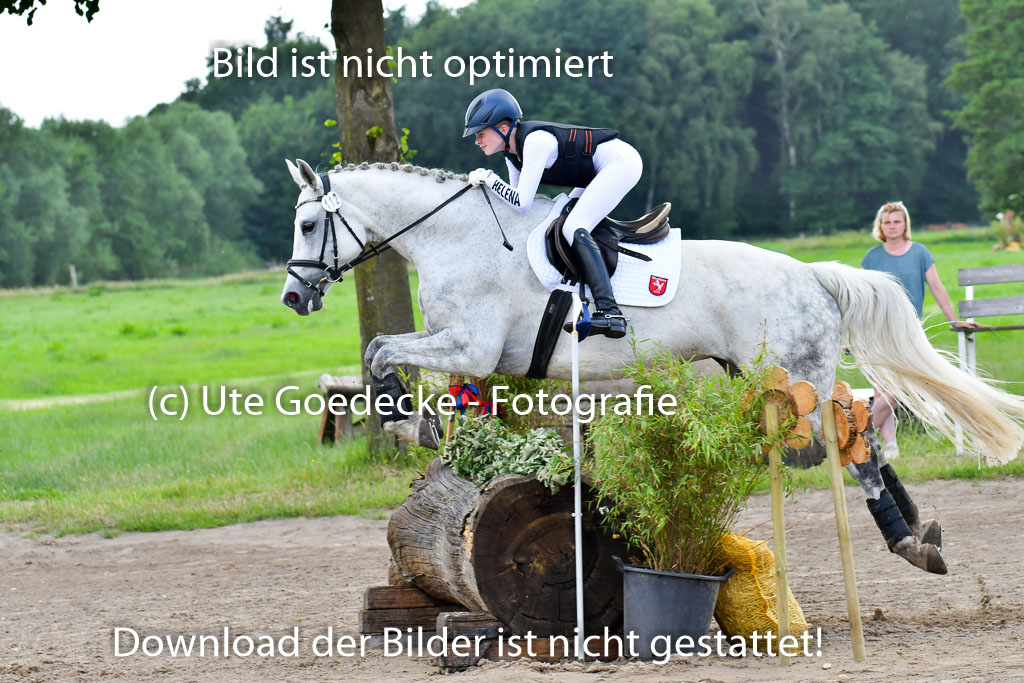 Goldene Schärpe PFerde  in Löningen  11+12.6.22 | 11062022 - Gelände 935 Abt
