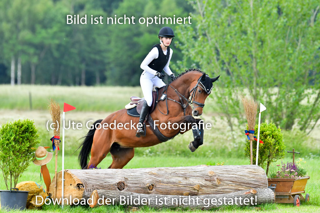 Goldene Schärpe PFerde  in Löningen  11+12.6.22 | 11062022 - Gelände 938 Abt