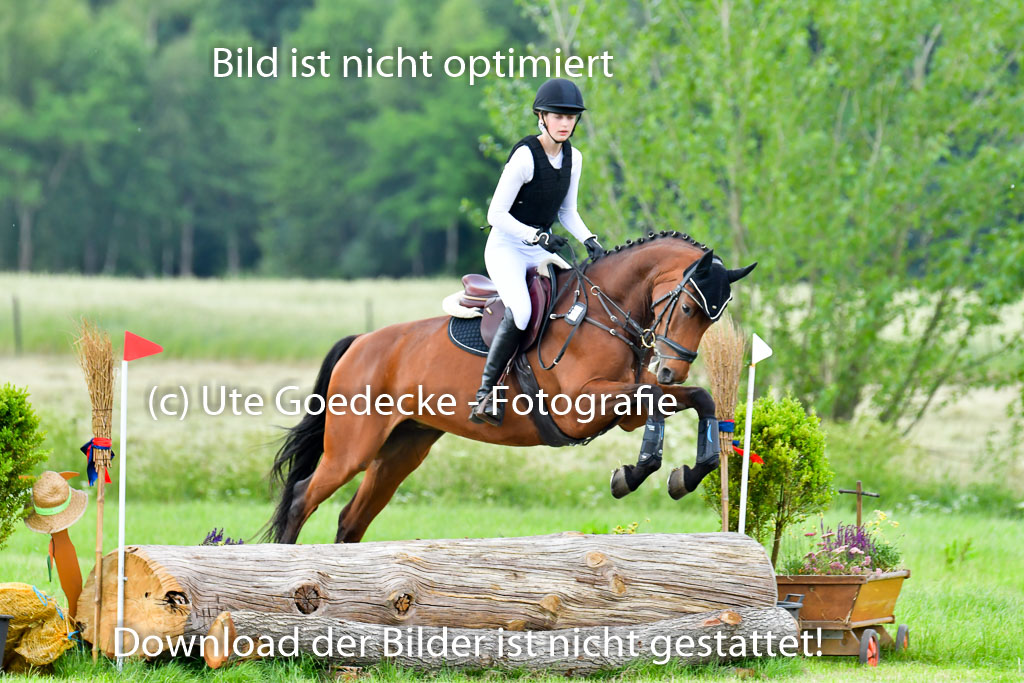 Goldene Schärpe PFerde  in Löningen  11+12.6.22 | 11062022 - Gelände 939 Abt 