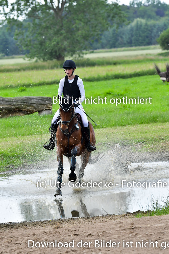 Goldene Schärpe PFerde  in Löningen  11+12.6.22 | 11062022 - Gelände 942 Abt