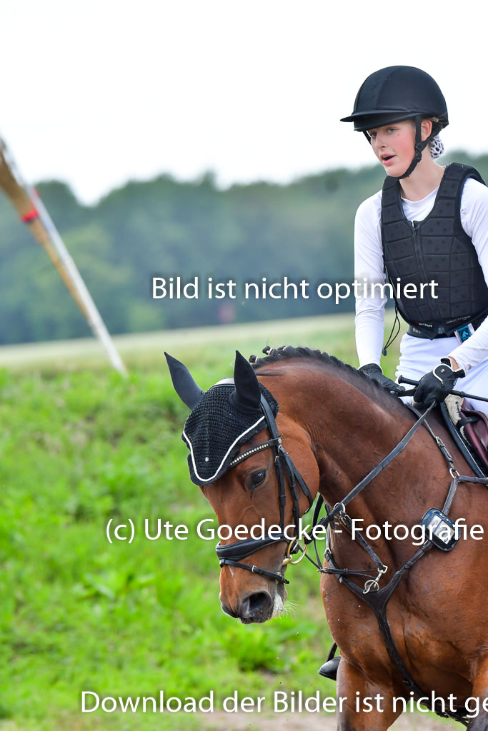 Goldene Schärpe PFerde  in Löningen  11+12.6.22 | 11062022 - Gelände 944 Abt