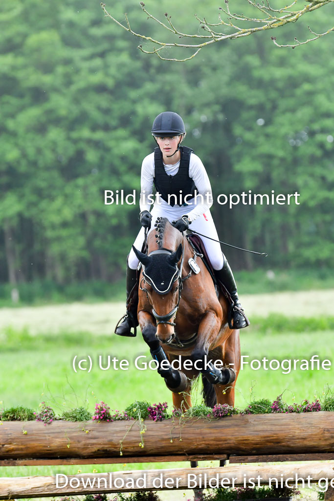 Goldene Schärpe PFerde  in Löningen  11+12.6.22 | 11062022 - Gelände 945 Abt 