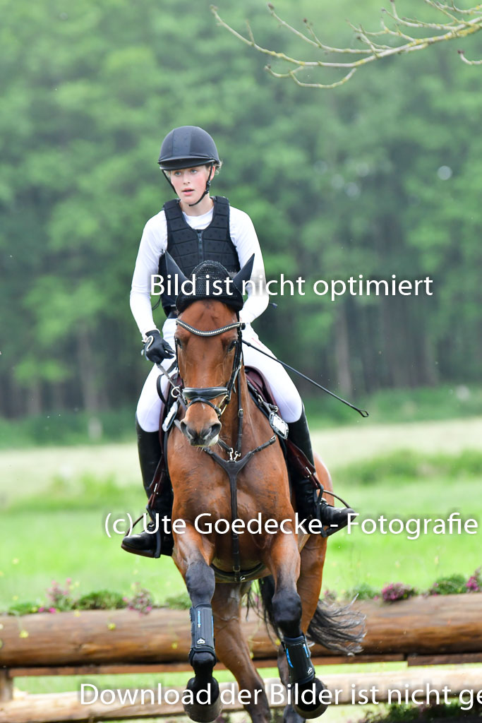Goldene Schärpe PFerde  in Löningen  11+12.6.22 | 11062022 - Gelände 947 Abt