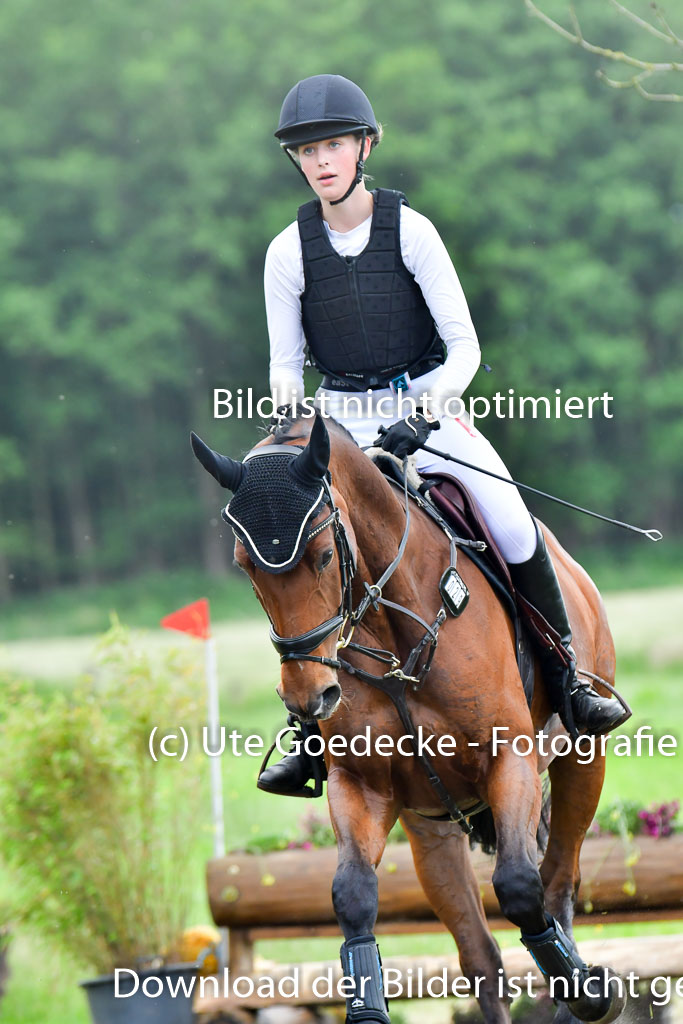 Goldene Schärpe PFerde  in Löningen  11+12.6.22 | 11062022 - Gelände 948 Abt 