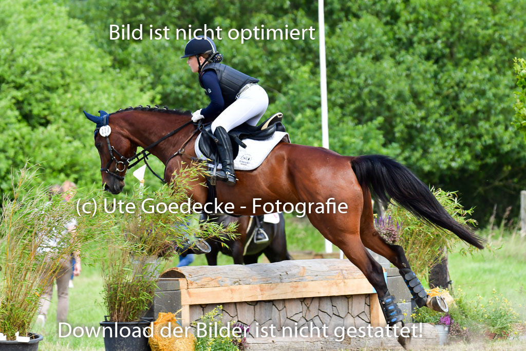 Goldene Schärpe PFerde  in Löningen  11+12.6.22 | 11062022 - Gelände 95 Abt 