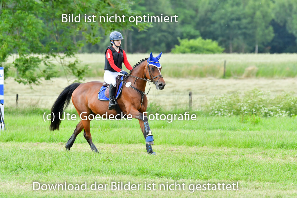 Goldene Schärpe PFerde  in Löningen  11+12.6.22 | 11062022 - Gelände 954 Abt 