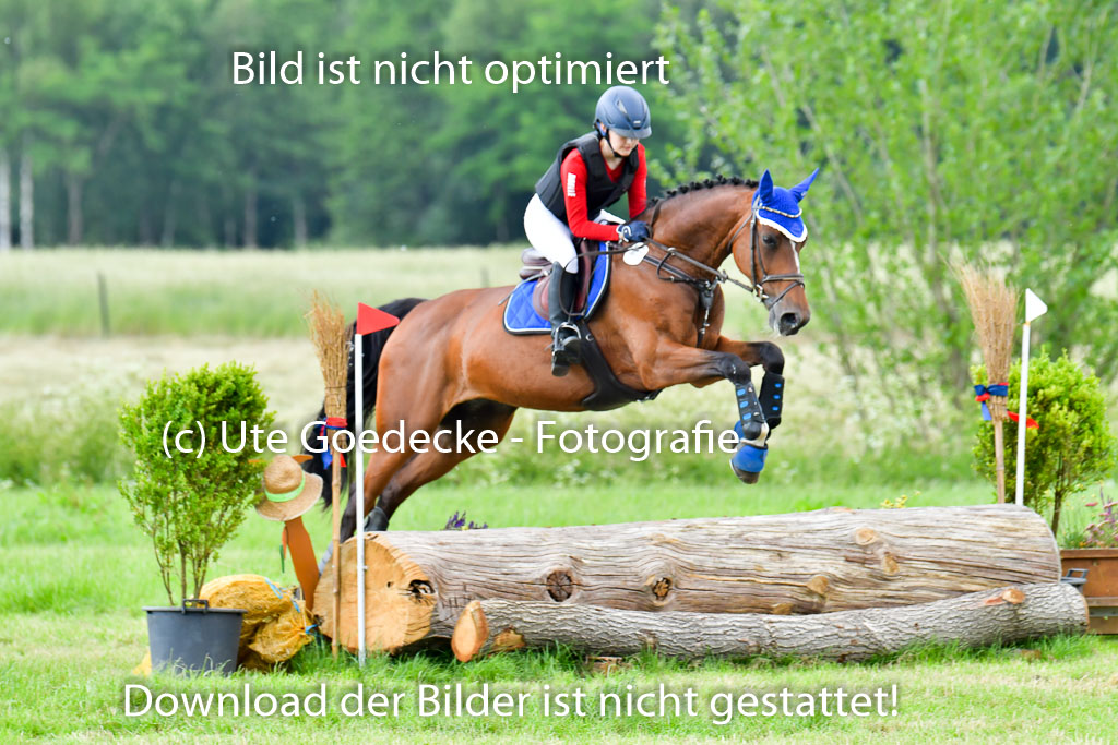 Goldene Schärpe PFerde  in Löningen  11+12.6.22 | 11062022 - Gelände 955 Abt 