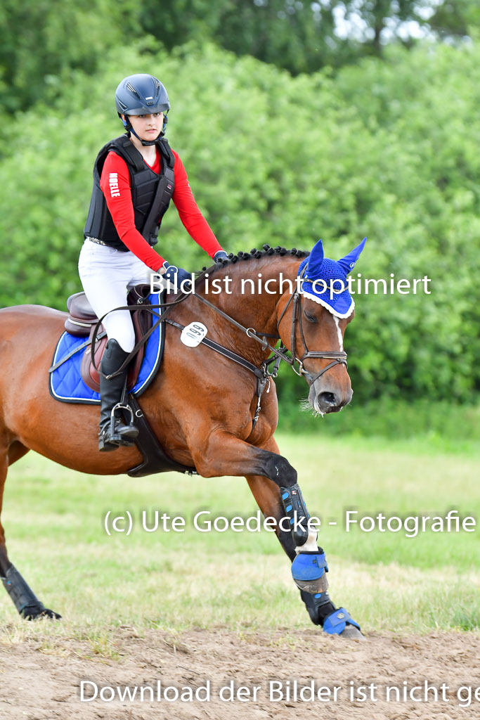 Goldene Schärpe PFerde  in Löningen  11+12.6.22 | 11062022 - Gelände 957 Abt