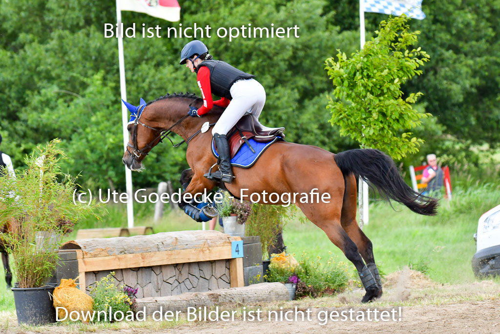 Goldene Schärpe PFerde  in Löningen  11+12.6.22 | 11062022 - Gelände 958 Abt