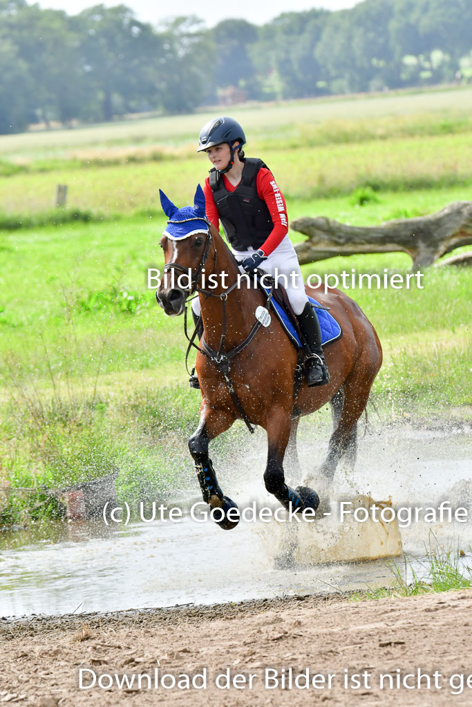 Goldene Schärpe PFerde  in Löningen  11+12.6.22 | 11062022 - Gelände 961 Abt 